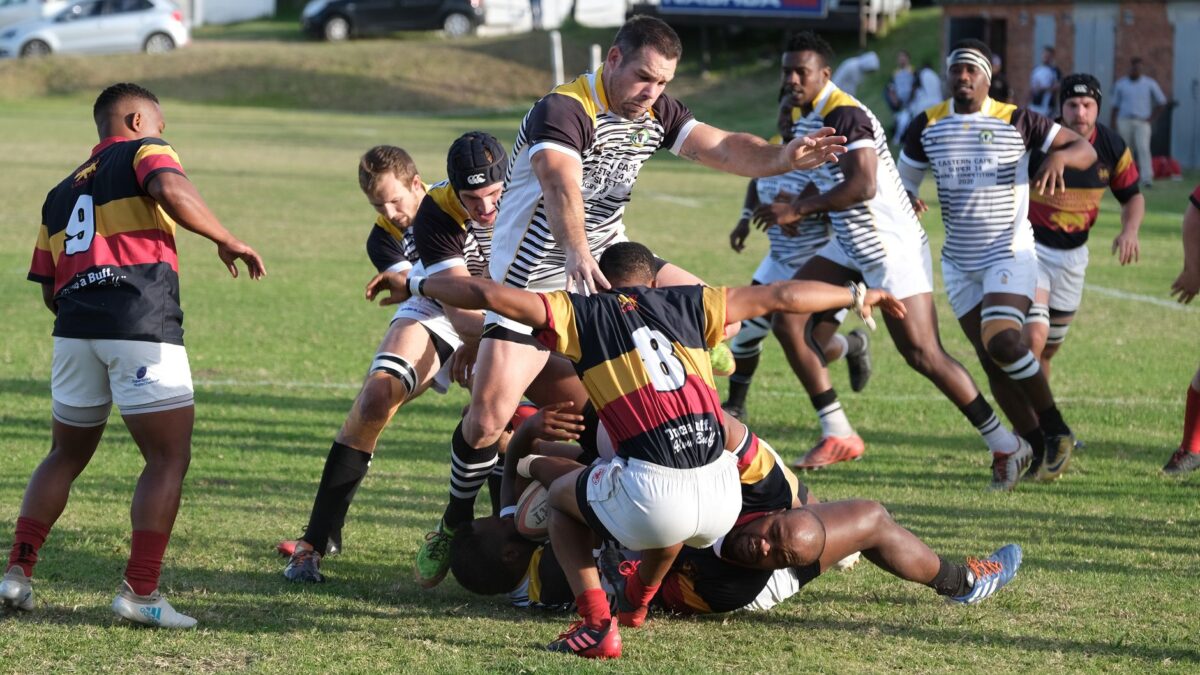 rugby top clermont il protégé